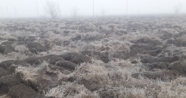 В Чадыр-Лунге перекопали городской парк.