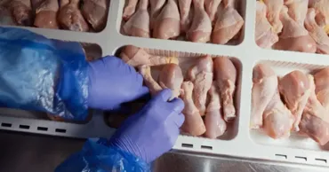 Producătorii și importatorii nu sunt de acord cu decizia de a interzice importurile de pui din Ucraina