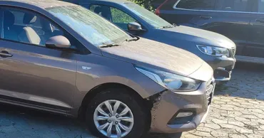 O haită de câini vagabonzi a avariat o mașină parcată în Chișinău