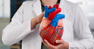 Ученые обозначили связь между климатом и болезнями сердца