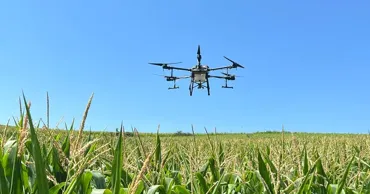 UE schimbă regulile pentru pesticide: Ce se pregătește pentru fermieri