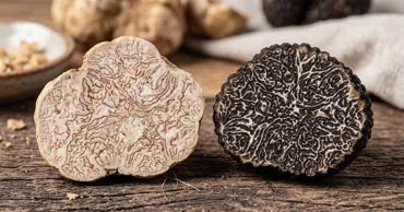 Две сестры открыли в Молдове бизнес по продаже итальянских трюфелей