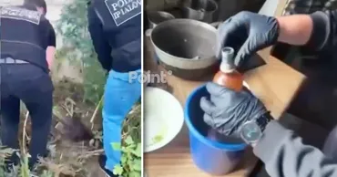 В Яловенском районе у мужчины обнаружили растения, похожие на каннабис