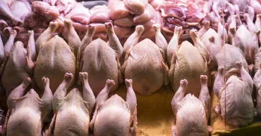 Украинские птицеводы: Молдова выдвинула неконструктивные требования