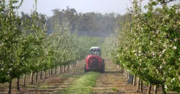 Moldova investește peste 253 de milioane de lei pentru a crește competitivitatea agricultorilor cu livezi și vii moderne