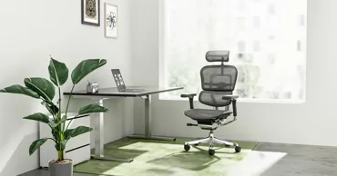 Kreslalux: Легендарное кресло Ergohuman – от официального дилера в Mолдове Ⓟ