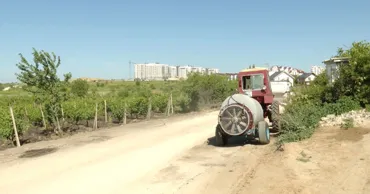 Viile și livezile din Durlești, afectate de praful de pe un drum: Fermierii trag un semnal de alarmă