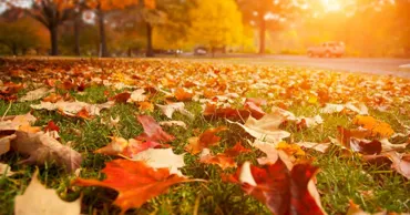 Meteo 16 septembrie: Cer variabil și temperaturi de până la +25°C