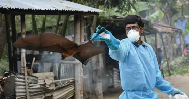 Oamenii de știință au dezvoltat un vaccin împotriva virusului Nipah