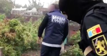 Задержаны 2 мужчин, организовавшие канал поставок марихуаны в РФ.