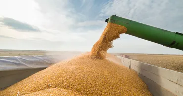 Лицензирование импорта сельскохозяйственной продукции будет продлено