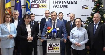 Нэстасе: ППДП достаточно влиятельна, чтобы выдвинуть своего кандидата на выборах.