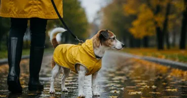 Meteo 13 septembrie: Temperaturile scad brusc în Moldova. Se așteaptă și ploi