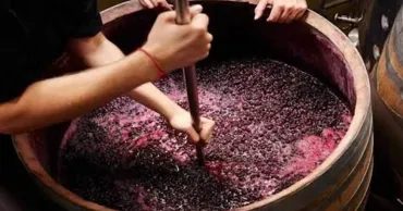 Vinul pus la fermentat poate provoca intoxicații fatale. Avertismentul IGSU