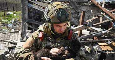 Украина предложила России продлить перемирие