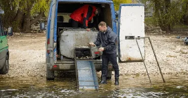 В реку Прут в районе озера Костешть-Стынка выпущено 2,5 тонны рыбы
