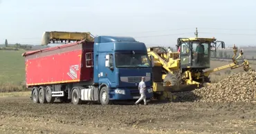 Producătorii de sfeclă de zahăr amenință cu proteste. Ce solicită Guvernului