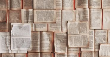Ученые вывели «золотое правило» эффективного обучения.