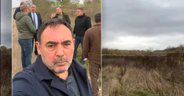Ткачук показал, чем обернулась правительственная кампания по посадке лесов