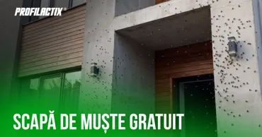 Profilactix: Scapă de muște gratuit Ⓟ