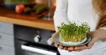 Cercetătorii au numit plantele care depășesc legumele obișnuite în cantitatea de vitamine
