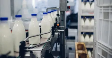 Ассоциация «Lapte»: кефир и сметану стоит облагать НДС 8%