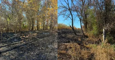 В Копэчень огонь охватил гектар лесного фонда: женщину привлекли к ответственности