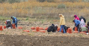 Выдвинуто новое предложение по поддержке молдавских фермеров.