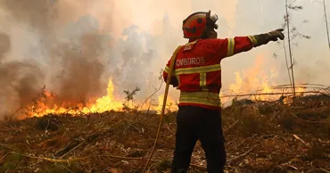 UE a trimis aeronave speciale în sprijinul Franței și Portugaliei în lupta cu incendiile forestiere