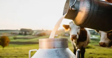 Moldova a investit 20 de milioane de dolari în ferme, însă importurile de lapte continuă să crească
