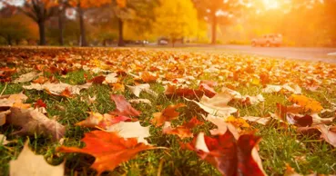 Meteo 19 septembrie: Cer variabil și temperaturi de până la +27°C