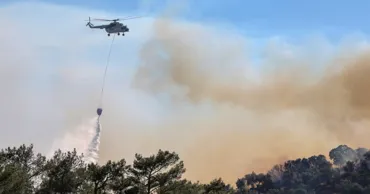 Trei pompieri au murit în Grecia în timpul intervențiilor la incendii de vegetație