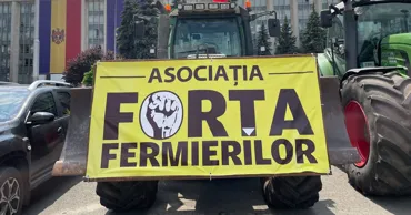 Fermierii cer prelungirea licențierii importurilor de cereale și floarea-soarelui