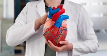 Ученые нашли способ устранить сердечную недостаточность у 90% пациентов
