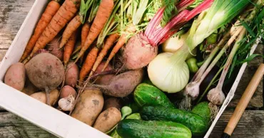 Цены на сельскохозяйственную продукцию снижаются: овощи подешевели почти на 30%