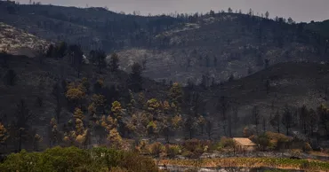 Incendii forestiere de proporții în Franța provocate de temperaturi neobișnuit de ridicate