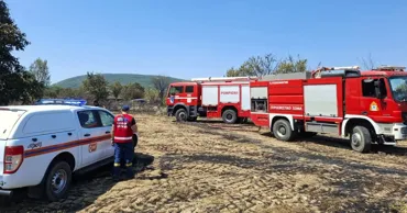 Молдавские спасатели в Греции провели первую миссию