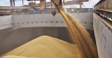 Украина и Израиль поскандалили в X из-за краденого зерна