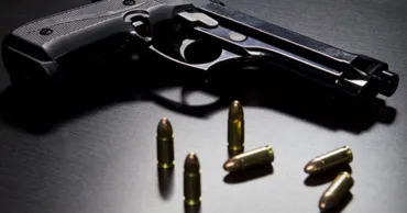 В Молдове обновили электронный портал для оружия гражданского назначения