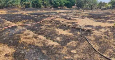 Incendiile de vegetație fac victime: Un bărbat a murit, altul e în stare gravă