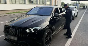 Молдаванин, укравший в Бельгии косметику на 3 млн евро, задержан на КПП "Албица"