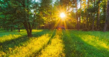 Ploi slabe și temperaturi de până la 30 de grade: Cum va fi vremea mâine