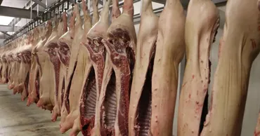 Guvernul a înăsprit controlul la frontieră pentru produsele animaliere