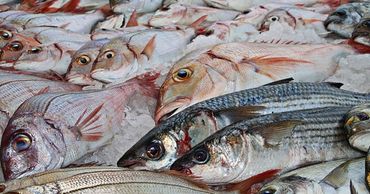 В Молдову продукцию животноводства будут поставлять еще 72 предприятия.
