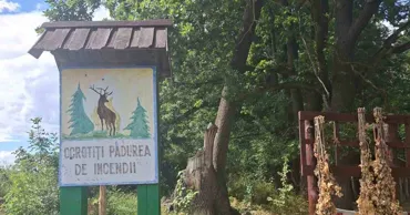 В Молдове усилили меры по защите лесов от пожаров из-за жары