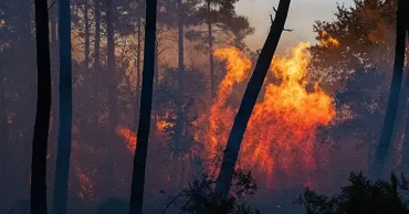 Incendii devastatoare în Spania și Franța. Zeci de mii de oameni, evacuați