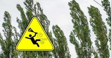 В Молдове объявлено метеопредупреждение: ожидается усиление ветра
