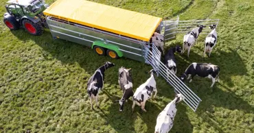 Animalele transportate și cele crescute în ferme vor fi protejate după norme europene