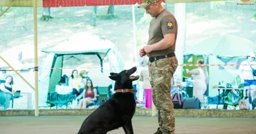 Demonstrații și emoții pozitive: Cetățenii, invitați la expozițiile canine