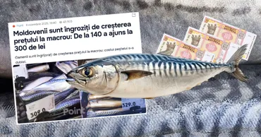 Creșterea prețului la macrou este cauzată de reducerea cotelor UE la pescuit